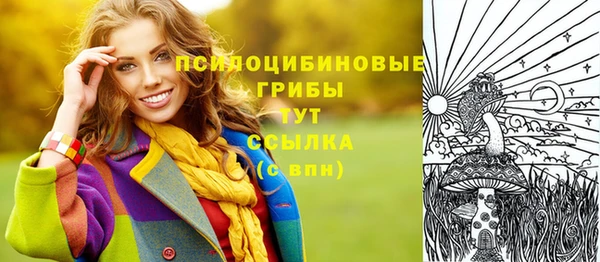 apvp Медногорск