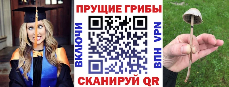 Галлюциногенные грибы ЛСД  цены наркотик  Пудож 