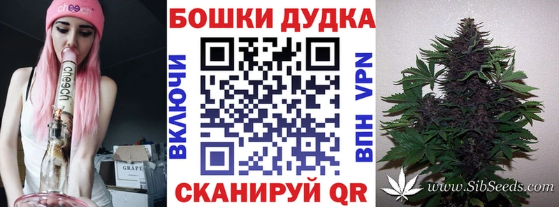 Марихуана марихуана  Пудож 